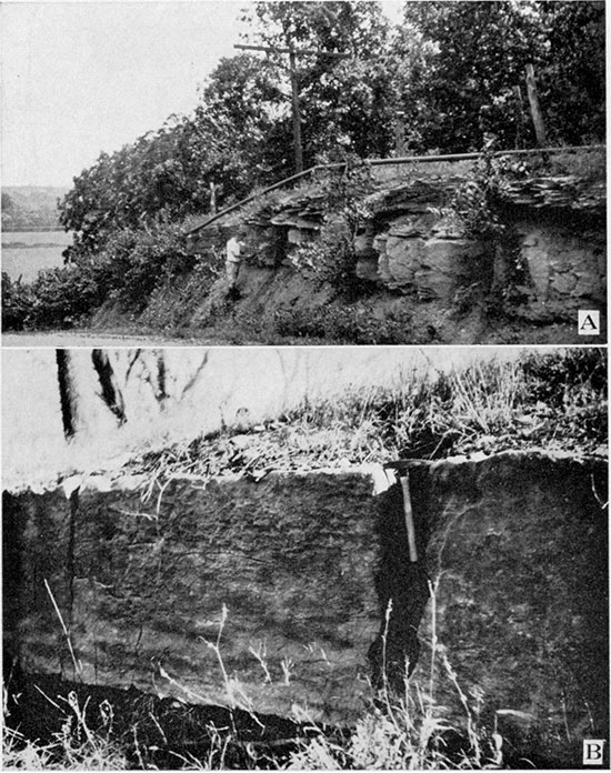 Black and white photos of the Pennsylvanian Drum limestone, Miami County.