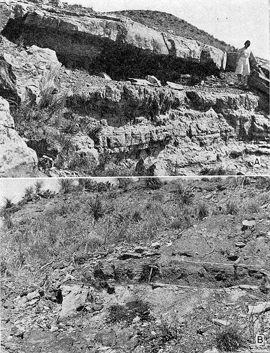 Two black and white photos; top is of mine entrance dug into hillside under massive limestone, much shorter than person standing nearby for scale; bottom photo is lignite in outcrop in western Ellsworth Co.