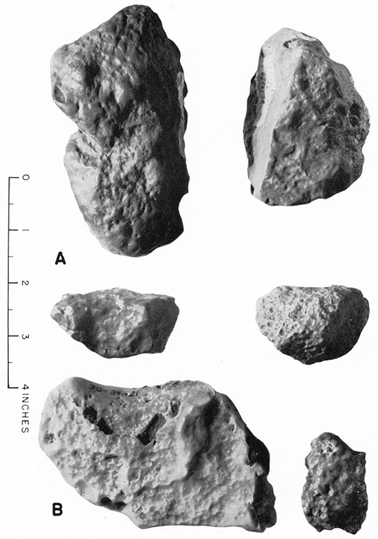 Black and white photos of small stones from Ogallala gravels and Pleistocene (?) beds in Clark County.