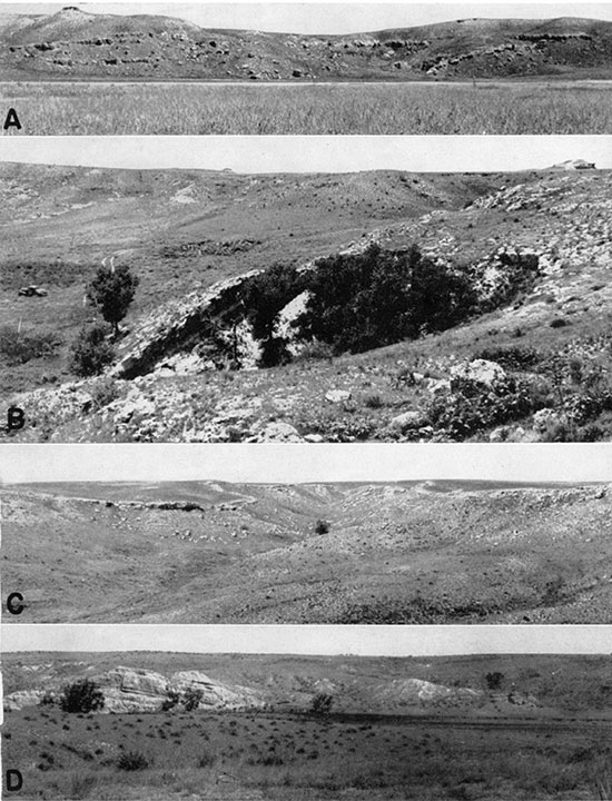 Four black and white photos of solution-and-collapse structures; top is sagging beds on east side of Big Basin; next is slump block in St. Jacob's Well; next is wavy dips just north of Big Basin; bottom is collapse structure along Sand creek 5 miles east and 6 miles south of Meade.