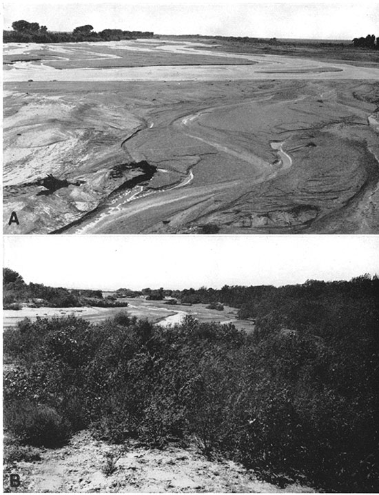 Two black and white photos of the channel of Arkansas river in 1937 and 1938.