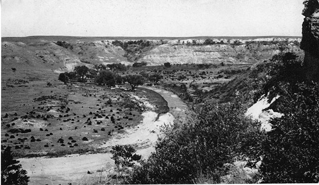 Black and white photo of Bluff creek valley, just north of Clark County State Lake.