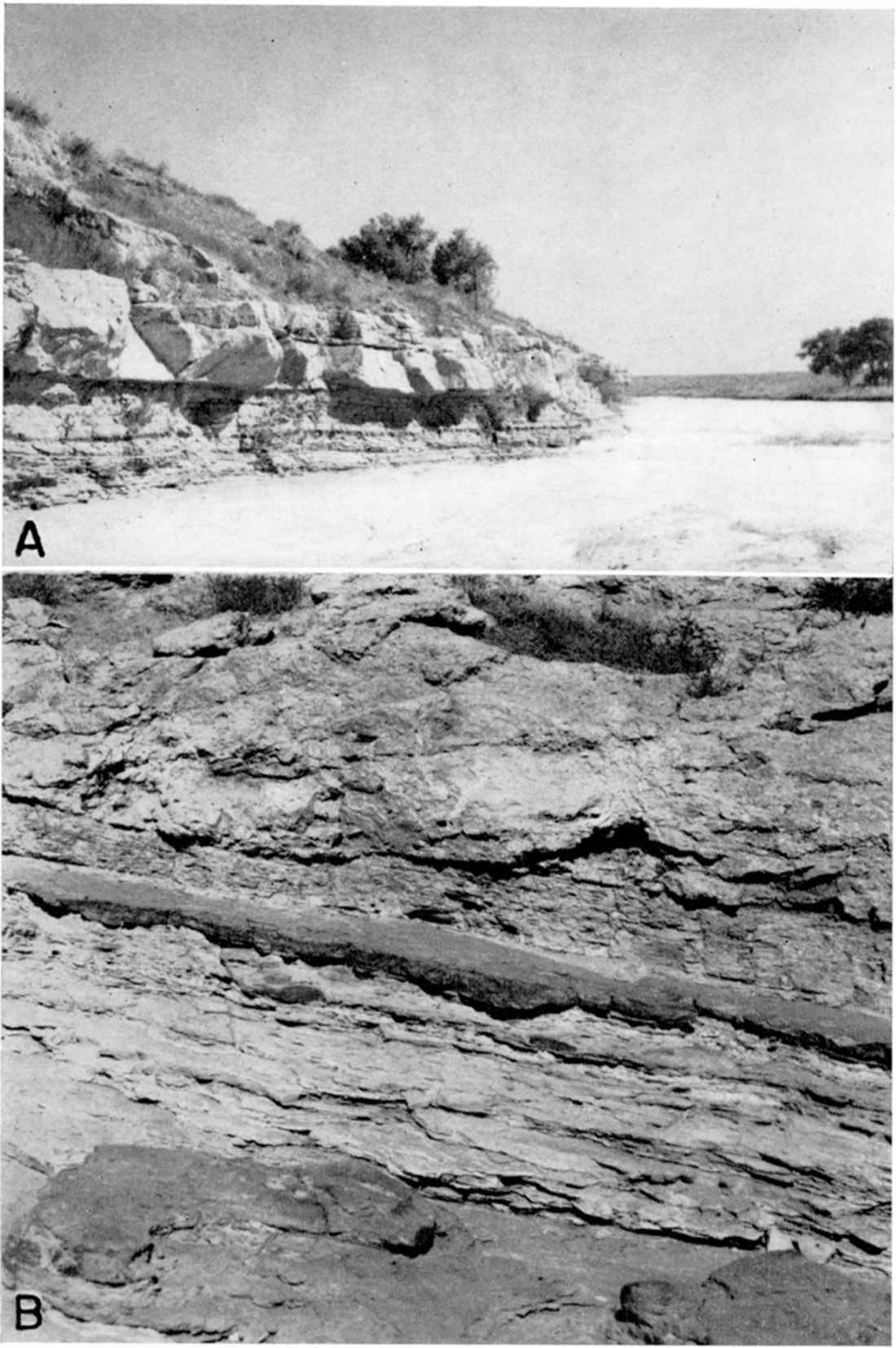 Two black and white photos; top is ledge of Cockrum sandstone along Bear creek; bottom is outcrop of shale in the Cockrum sandstone on north side of Bear creek.