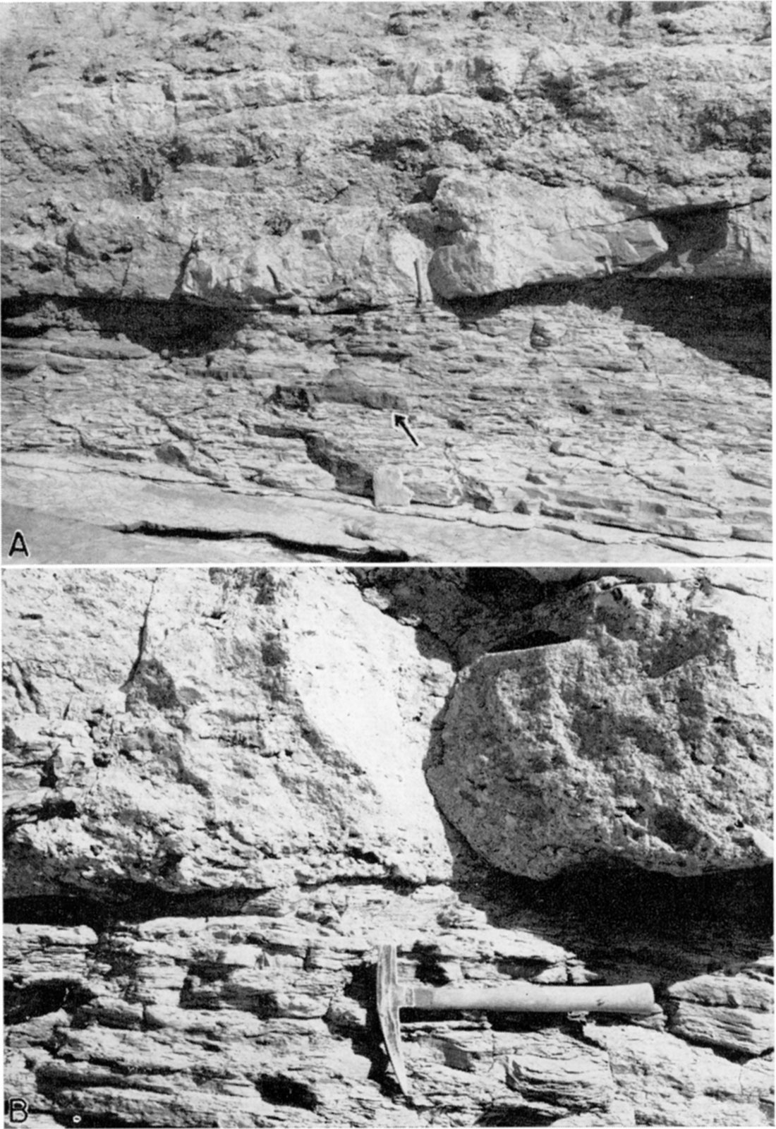 Two black and white photos; top is sharp contact between the Cockrum and Ogallala; bottom is close-up view of the contact, showing the conglomeratic nature of the material at the base of the Ogallala.