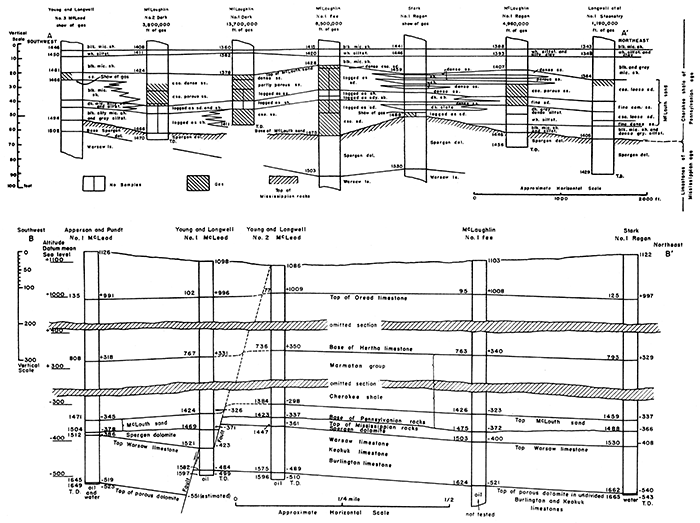 Geologic cross-sections of the McLouth field.