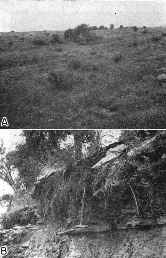 Two black and white photos showing Pawnee limestone and Anna shale member.