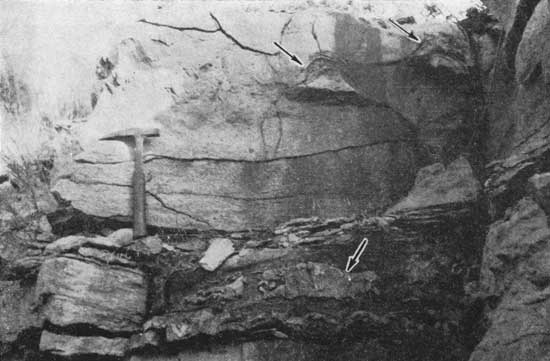 Black and white photo showing Blackjack Creek limestone.
