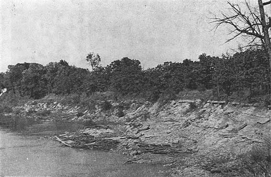 Black and white photo of stream bank showing Bandera shale and Tina limestone.