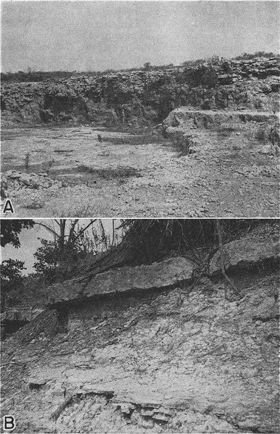 Two black and white photos; top is of Worland limestone of the Altamont formation in a quarry; bottom is of Tina limestone of the Altamont formation, lying above the Bandera shale.