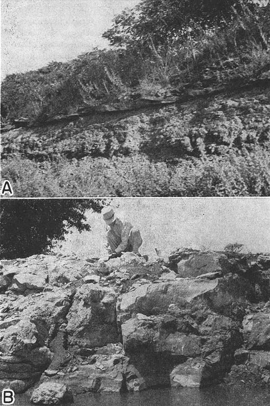 Two black and white photos; top is of Memorial (?) shale and Hepler sandstone; bottom is of Tina limestone of the Altamont formation.