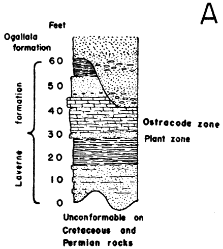 60 feet at thickest; below Ogallala Fm.; unconformity at base with Cretaceous and Permian.