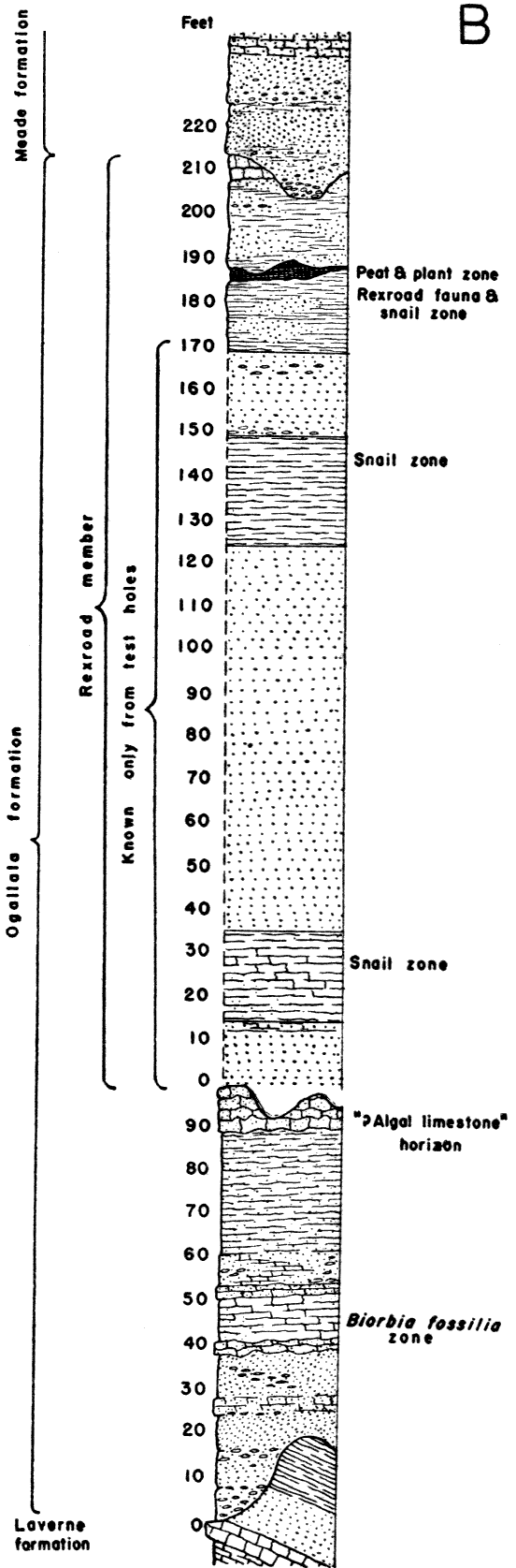 220 feet of Rexroad member; base below that is 100 feet.