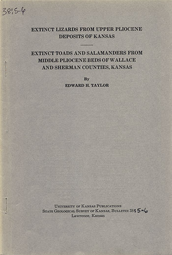 small image of the cover of the book; gray paper with black text.