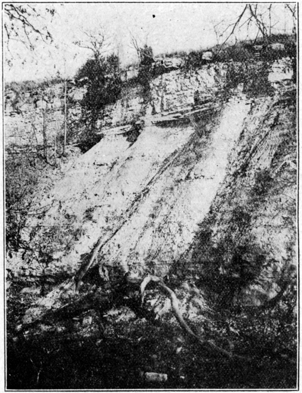 Black and white photo: Typical exposure of limestone and shale which compose the upland north of Camp Funston.