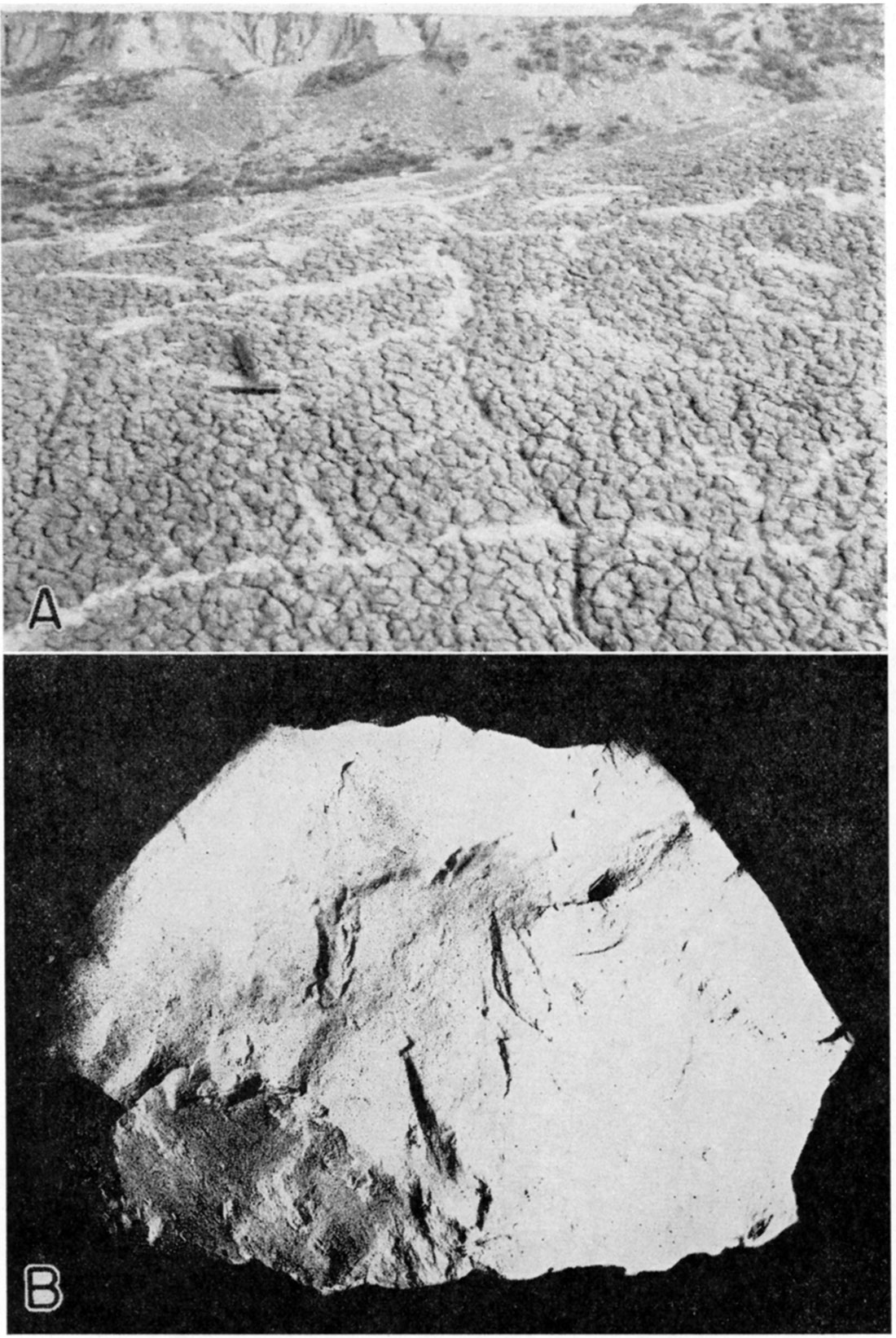 Two black and white photos; top is Bentonite clay deposit, Wallace County; bottom is Alkali bentonite, Wallace County.
