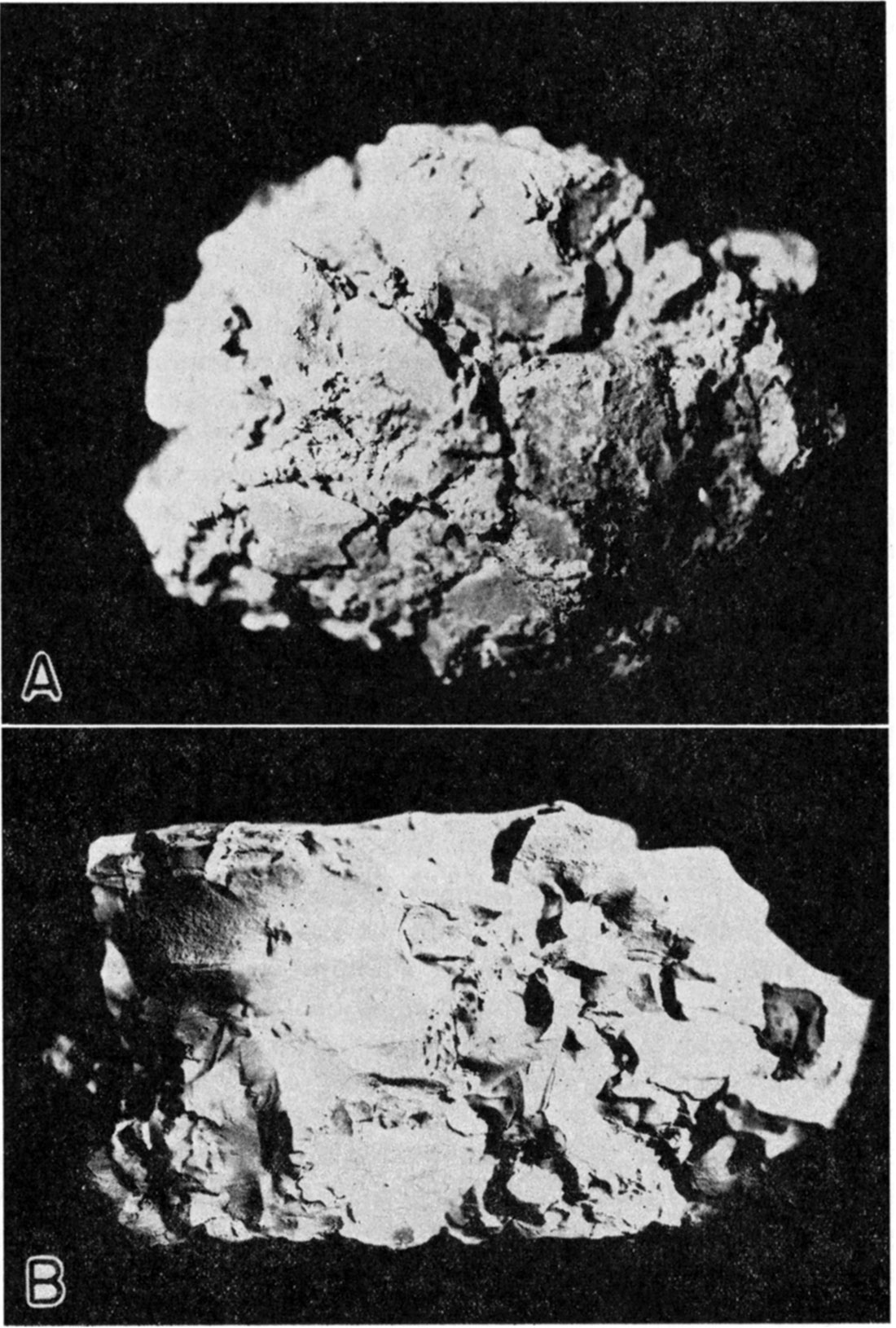 Two black and white photos; top is Alkali bentonite, Phillips County; bottom is Alkali sub-bentonite, Wallace County.