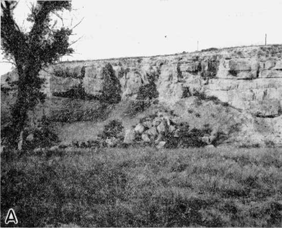 Black and white photo of thick limestone bed; grassland in foreground with rubble.