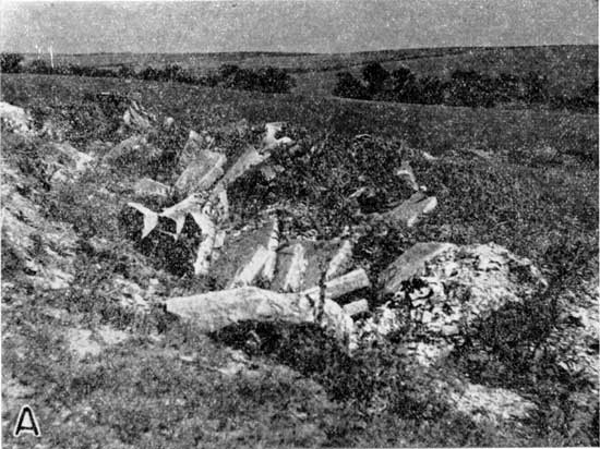 Black and white photo of small flagstone quarry, basically a trench in a gentle hillside with jumbled flagstones.