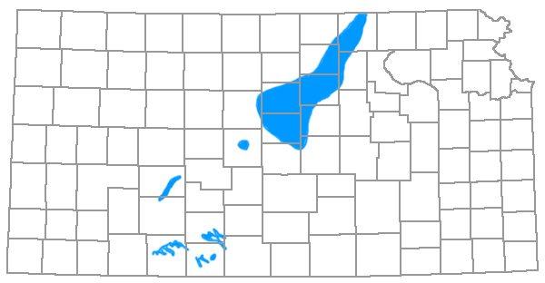 Black and white map showing counties and Cretaceous outcrops in Washington, Republic, Cloud, Clay, Ottawa, Lincoln, Ellsworth, Saline, McPherson, Barton, Hodgeman, Kiowa, Barber, Comanche, and Clark counties.