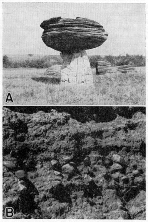 Above, black and white photo of mushroom-shaped concretion; Below, black and white close-up photo of pebble layer in rock exposure.