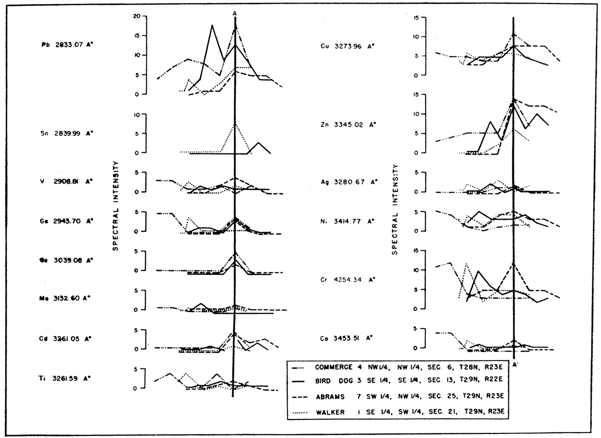 Geochemical profiles for drill holes showing ore mineralization. A-A' indicates mineralized zone.