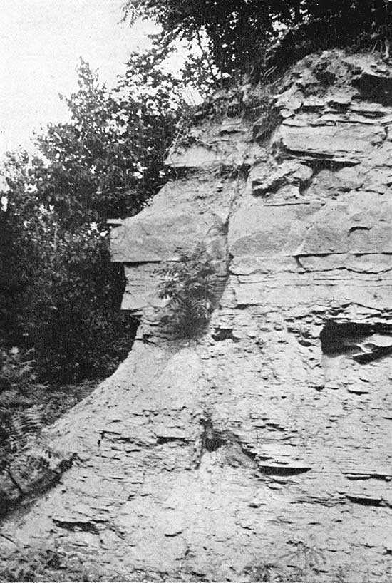 Black and white photo of limestone outcrop.