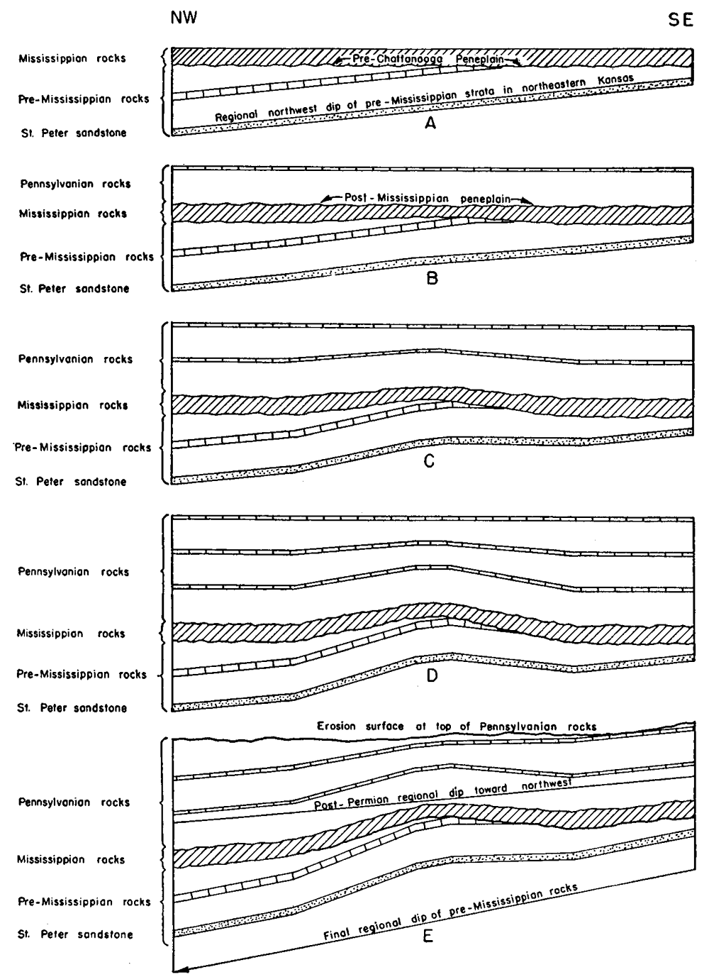 Five cross sections.