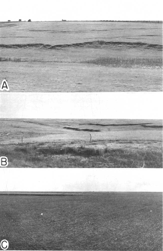 Three black and white photos of topography.