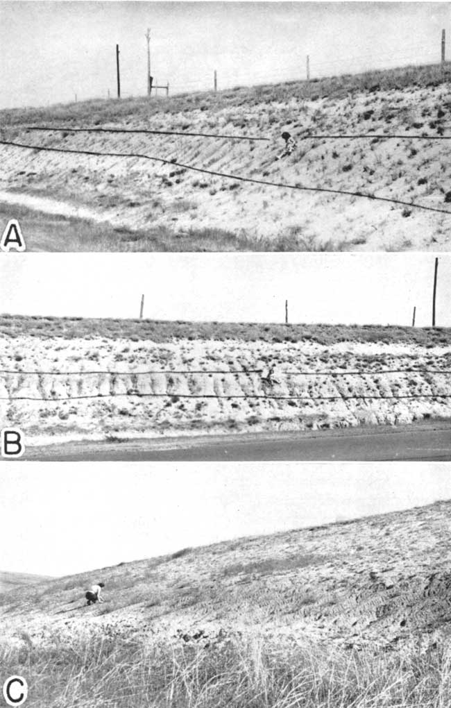 Three black and white photos of outcrops, gentle slopes, look to be highly erodable.