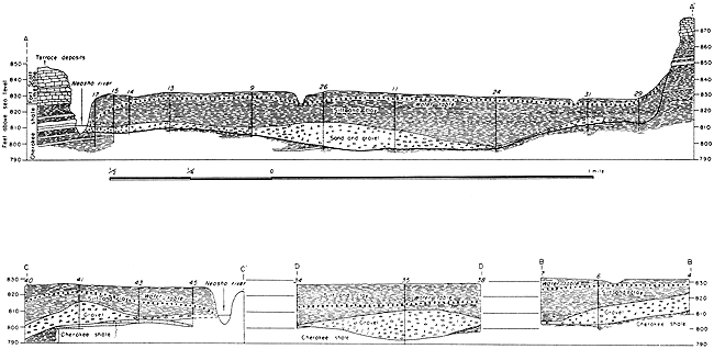 4 cross sections; in widest section, flat river bed is 2 miles across with river cut into silt and clay on west side.