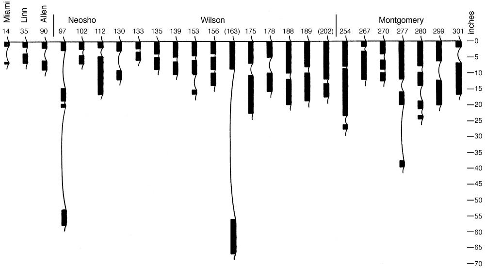 Schematic shows thickesses and numbers of coal beds.