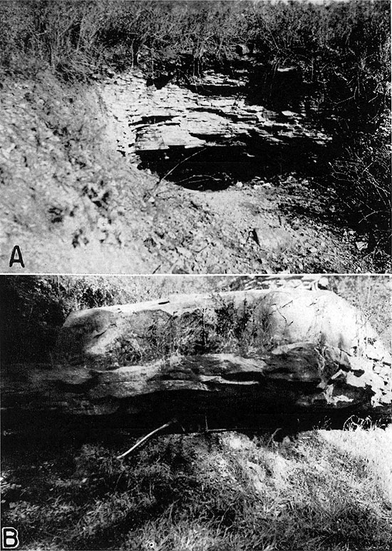 Two black and white photos; top is of thin beds of Cottage Grove sandstone above mine entry; bottom is of massive bedded Cottage Grove sandstone below Thayer coal.
