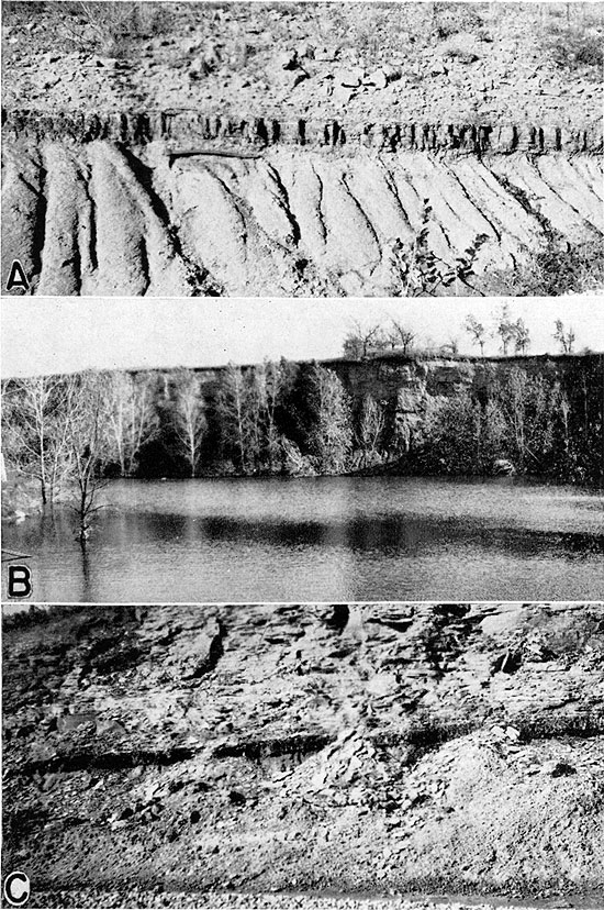 Three black and white photos; top is of Thayer coal, persistent bed almost a foot thick above softer material; middle is of water-filled quarry, trees in background against steep quarry wall; bottom is of dark bed of Thayer coal within lighter material.