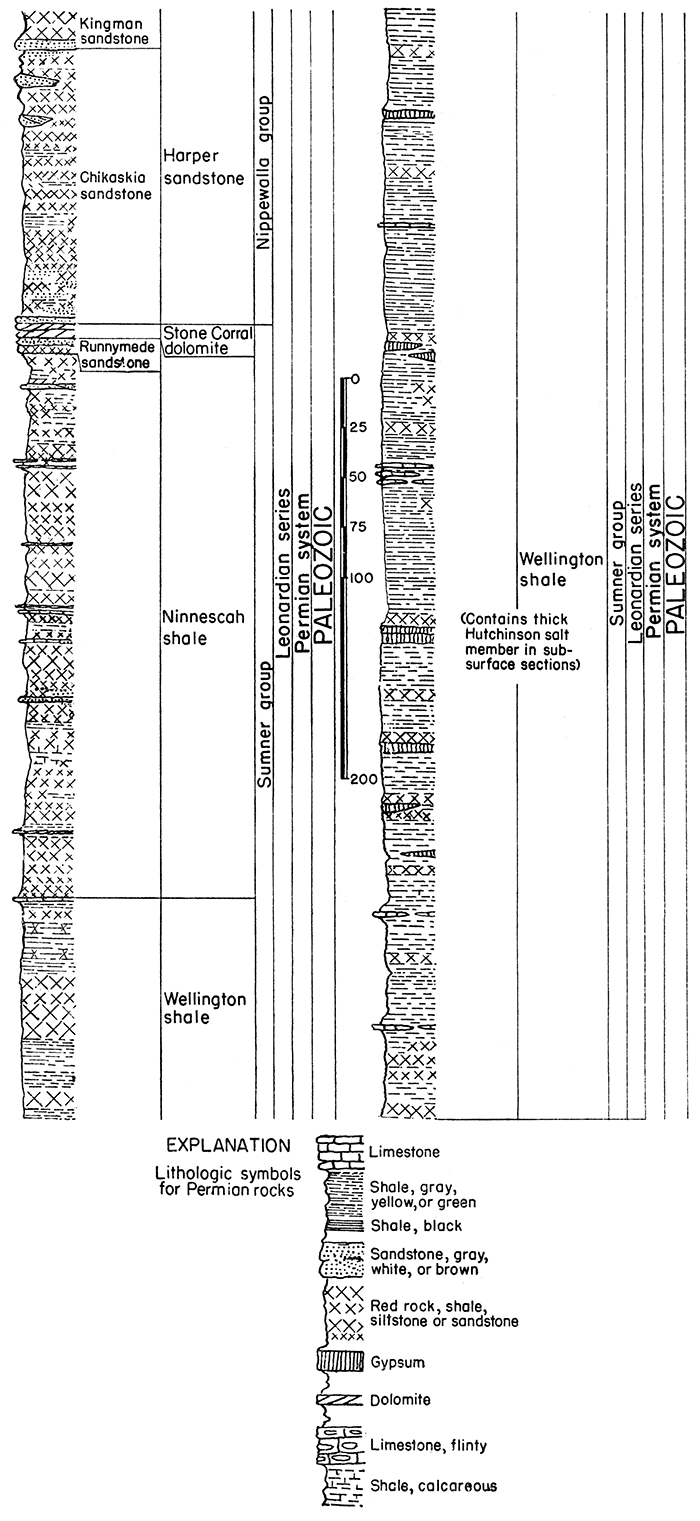 Generalized section of middle Permian rocks in Kansas.