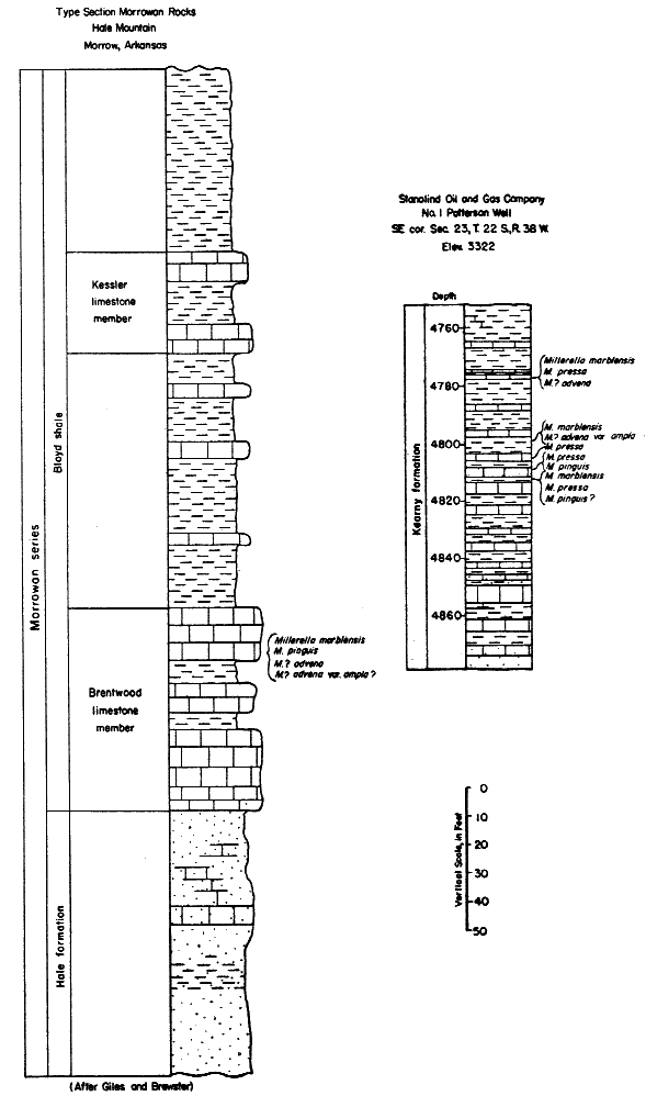 Two sections; original Morrowan type section from Arkansas; new Kearny Formation section from Patterson 1 well.