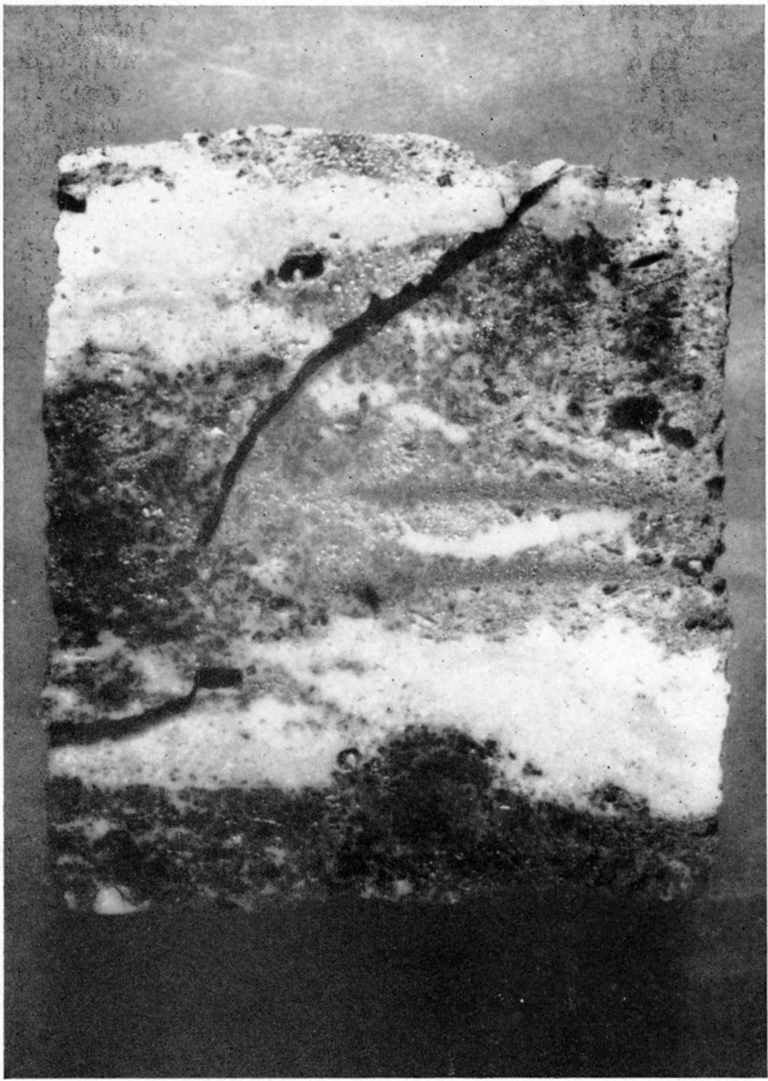 Photograph of core from dolomite yielding oil in undifferentiated Burlington and Keokuk limestones of Mississippian age.