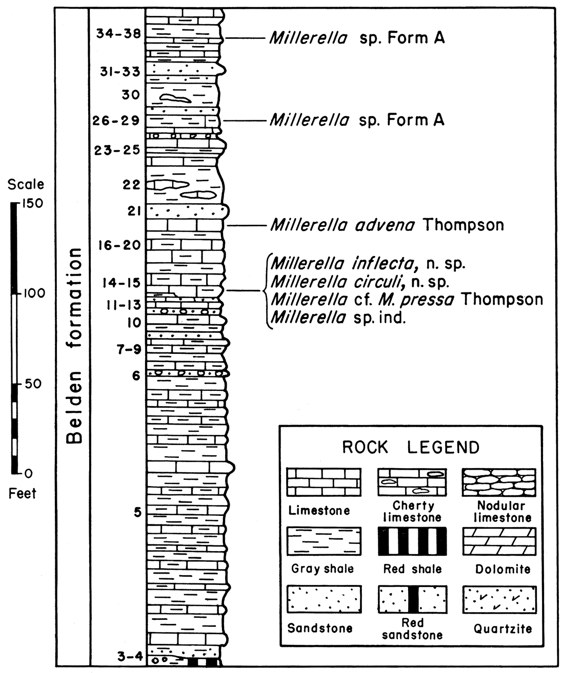 Diagram and fusulinid faunas of the Belden formation, Section P-15, Sweetwater Creek.