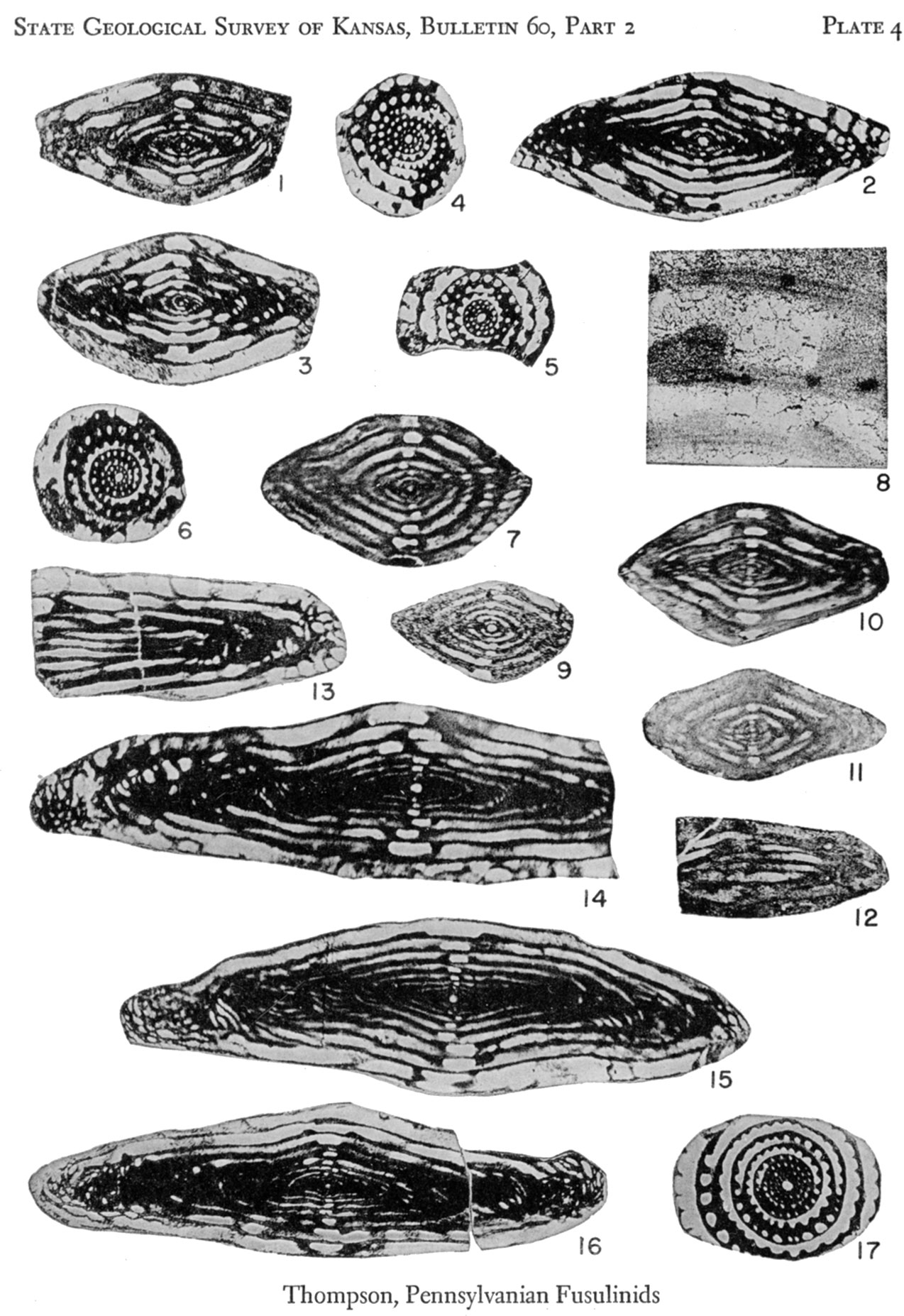 Plate 4, Pennsylvanian Rocks and Fusulinids.