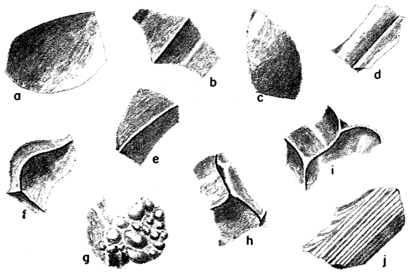 Several drawings of shards, differences described in text.