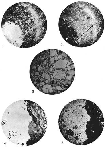 Five black and white photomicrographs