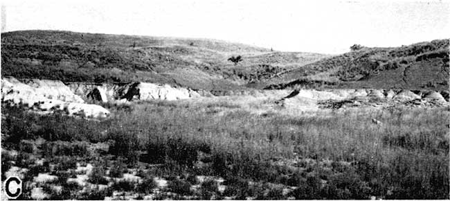 Black and white photo of gentle hills in background, grassy stream bed in foreground, and eroded cliffs in middle.