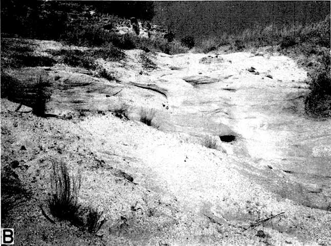 Black and white photo of smoothly eroded, resistent bed within beds of sandstone.