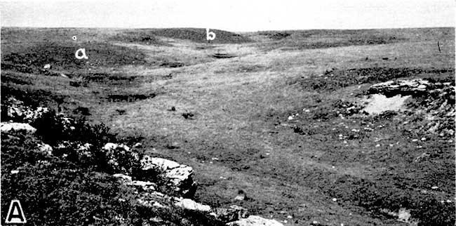 Black and white photo of very low hills; some patrs of draw bordered by more massive beds.