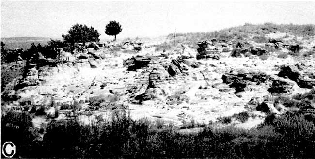 Black and white photo of highly eroded area on shallow hillside.