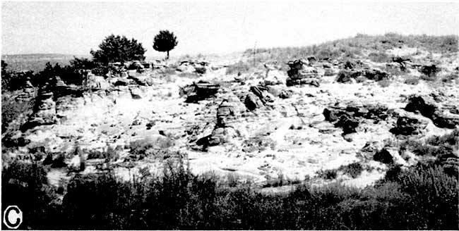 Black and white photo of highly eroded area on shallow hillside.