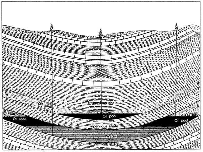 Diagram showing how oil and water are arranged in a syncline.