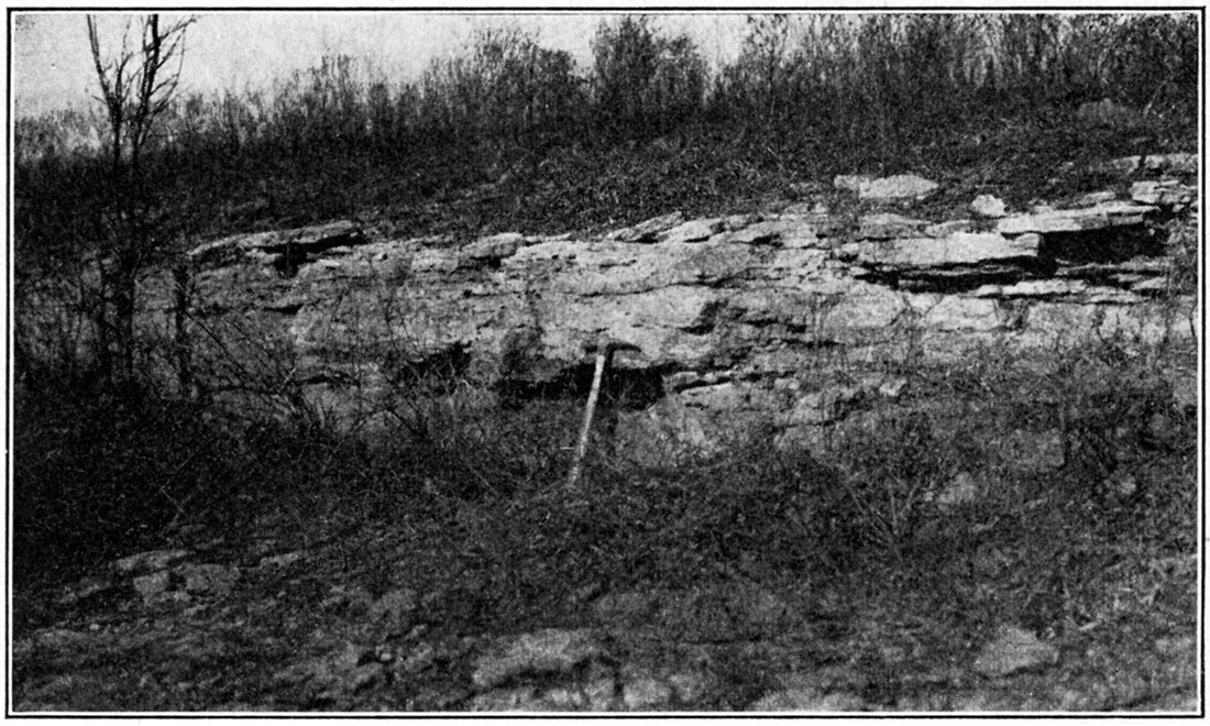 Black and white photo showing outcrop of Towanda limestone, showing its thin-bedded, stratiform nature.