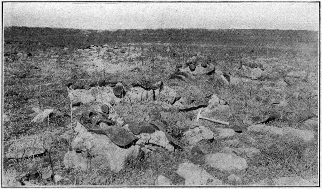 Black and white photo showing Winfield limestone, showing its concretion-bearing nature.