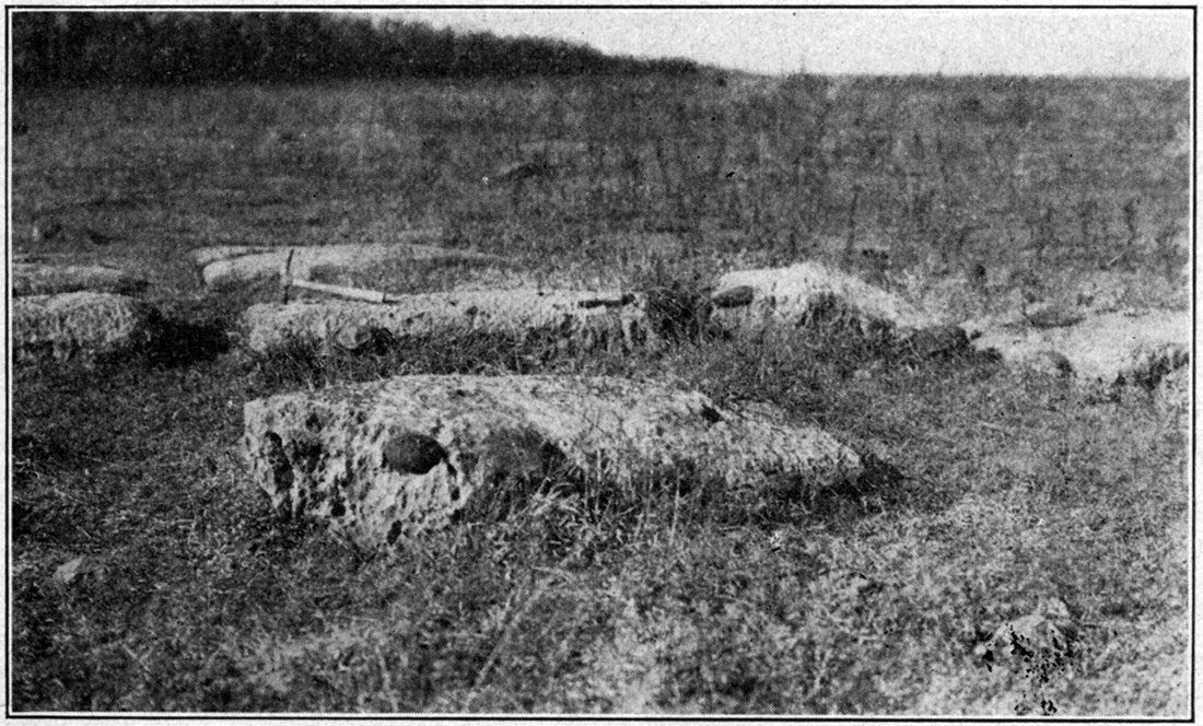 Black and white photo showing Winfield limestone, showing its concretion-bearing nature.