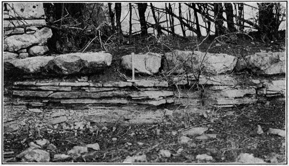 Black and white photo showing exposure of Herington (?) limestone.